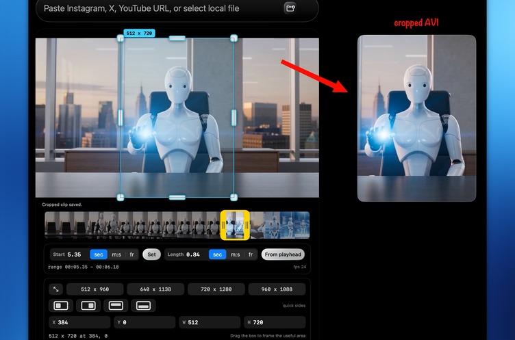 Pluck video cropper interface mockup